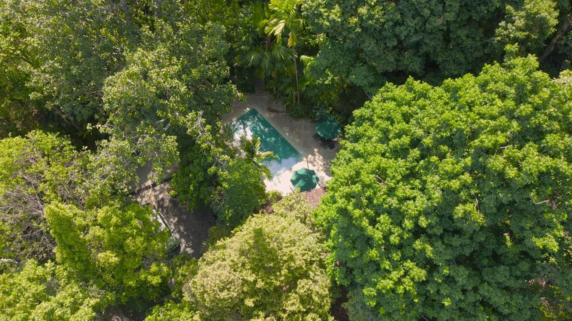 Ambong Rainforest Retreat Pantai Cenang  Exterior photo